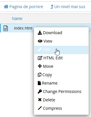 Editare fisier buton edit