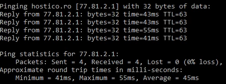 Raport la comanda ping dacă server este online